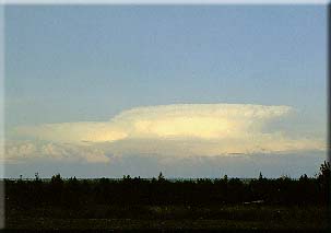 Cumulonimbus Clouds